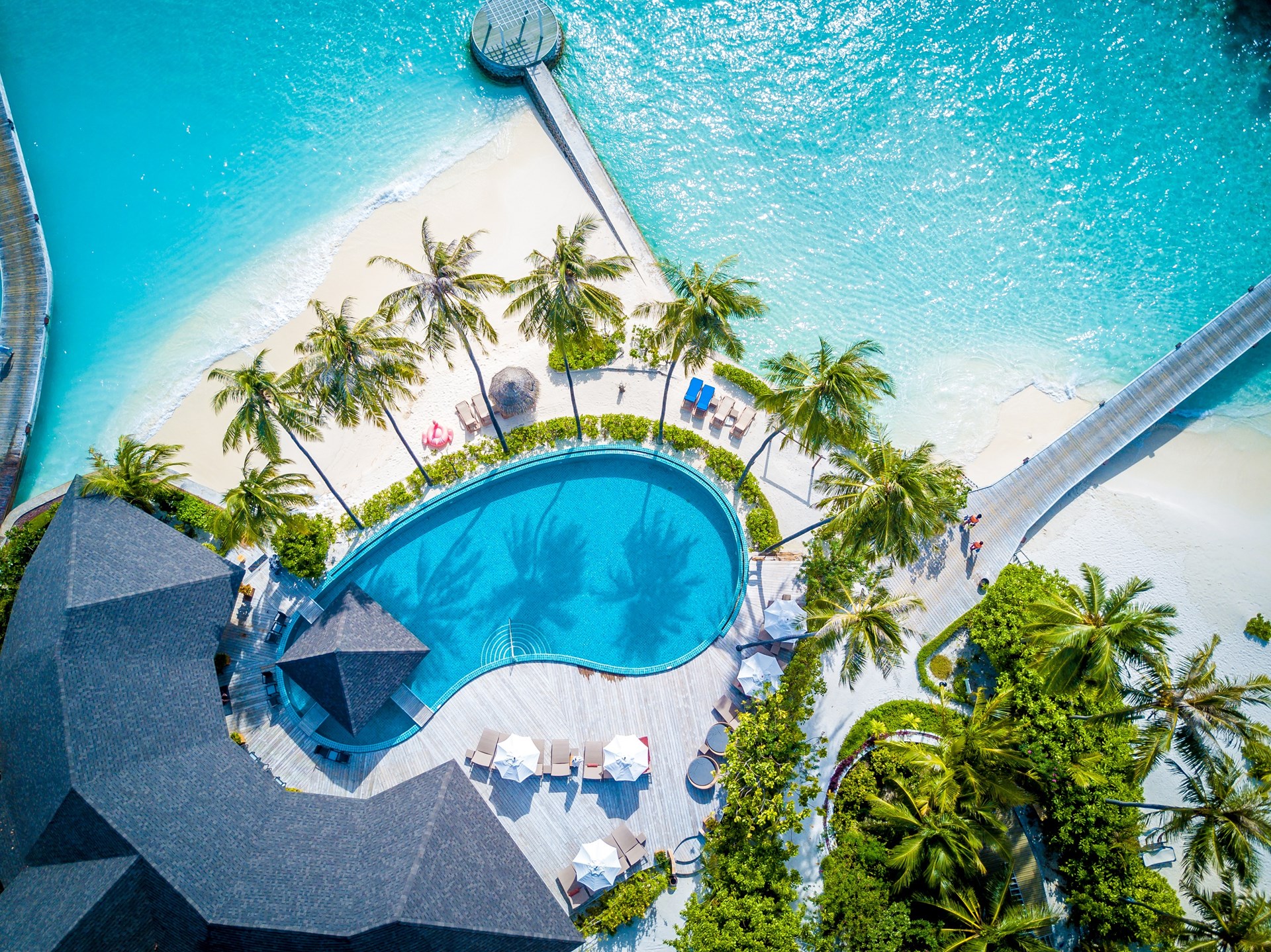 Verken het exotische onderwaterleven van de Malediven Centara Grand Island Resort & Spa