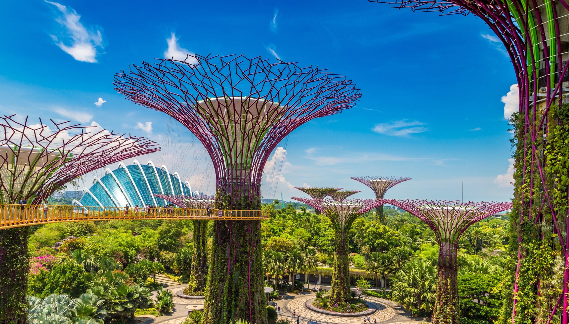 Beleef de schoonheid van deze wereldstad... Bruisend Singapore - Privérondreis